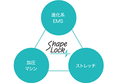 シェイプロック